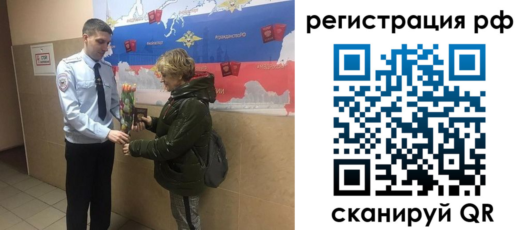 прописка 2025 в Елизово